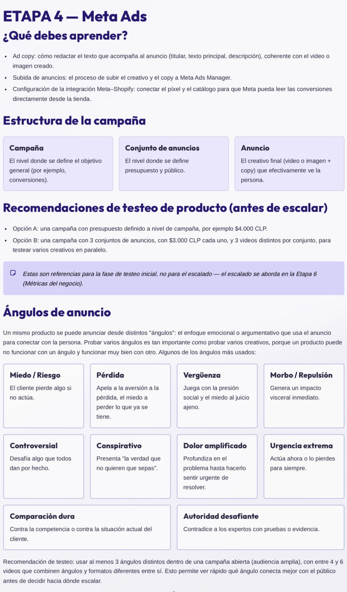 Uso de Meta Ads